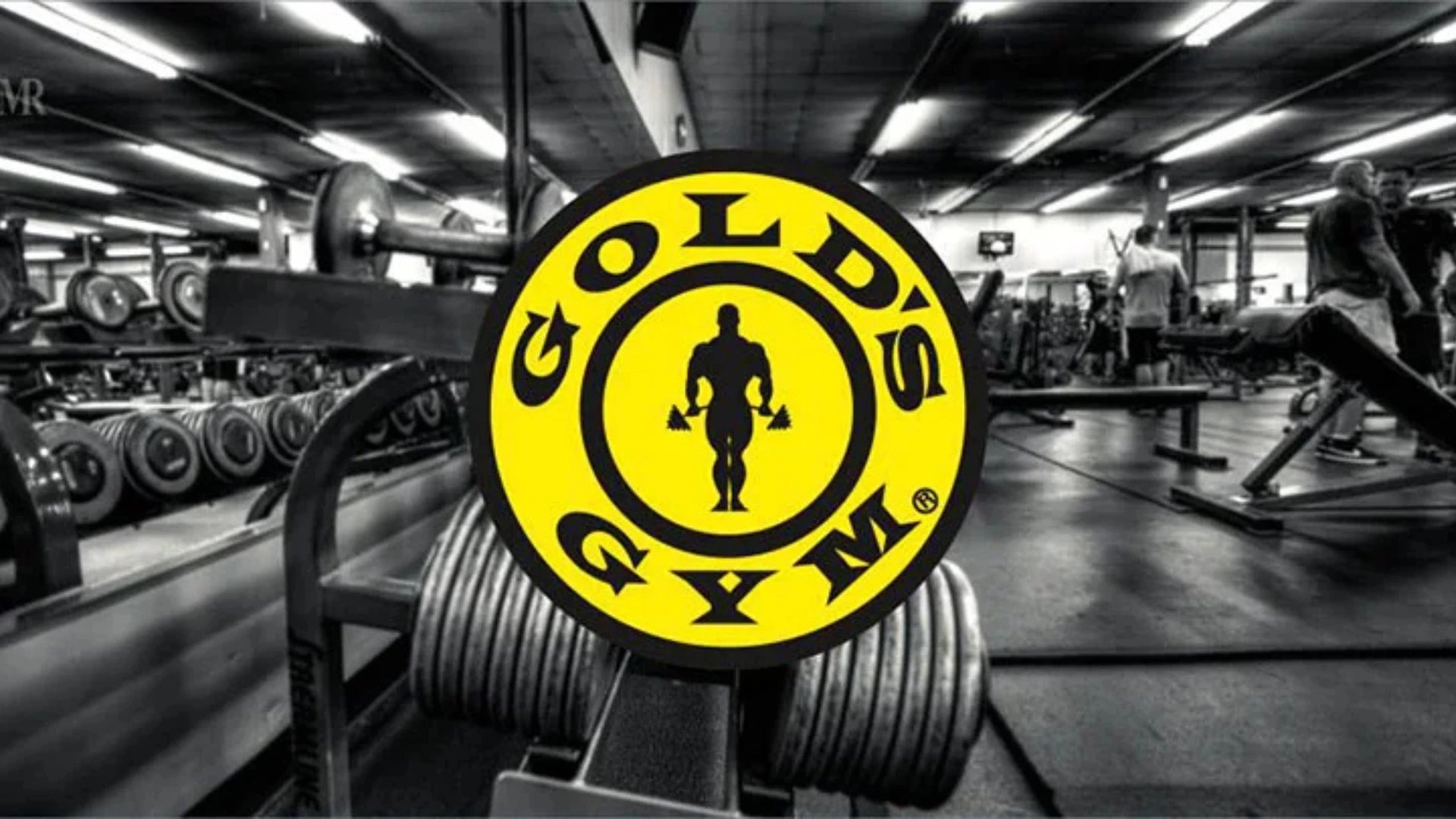 Gold´s Gym – Primal Gymwear