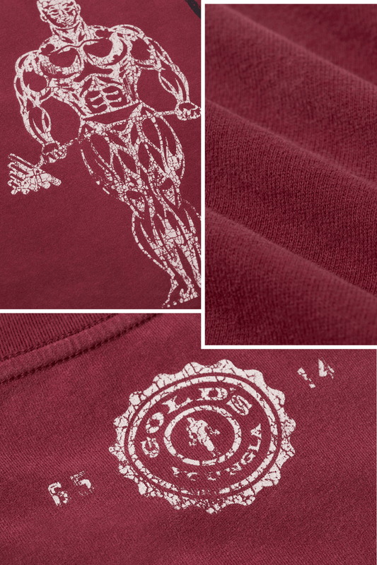 4213 - Gold's Iron Legacy Icon Tees
